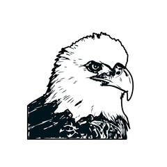 Black and white sketch of an eagle with transparent background