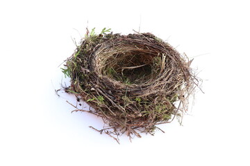 Vogelnest auf wei&szlig;em Hintergrund.