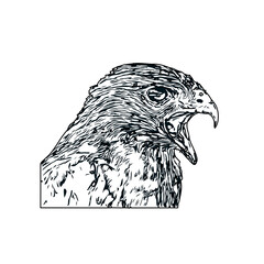 Black and white sketch of an eagle with transparent background
