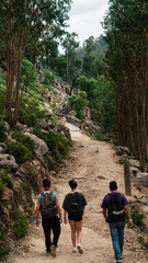 three hikers on route in a mountain forest. young hikers enjoying the trail