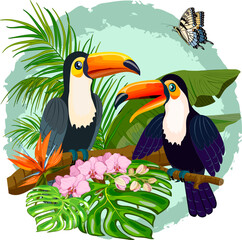 Obraz na płótnie Canvas Toucans in tropical leaves.Vector illustration with toucans on a branch in tropical leaves and flowers.