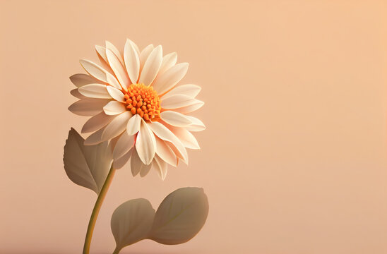 a flower arrangement on a solid color background