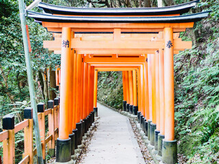 Torii gates in Fushimi Inari, Kyoto, Japan
