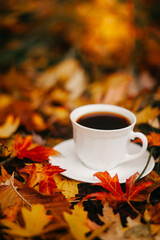 Cup of coffee on autumn leaves
