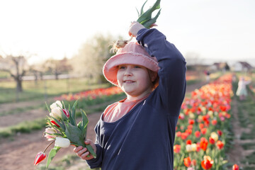 Young preteen girl picking up tulips on the country field, she is happy and smiling, sunset light outdoor scene. - 587054301