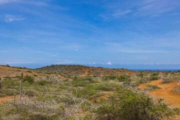 Fototapeta na wymiar Gorgeous tropical nature landscape backgrounds. Green tropical plants on sandy coastline and blue sky with rear clouds on background. Aruba. 