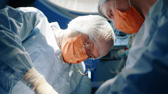 A closeup of veterinarian and a nurse performing a surgery on an animal. They need to be careful and steady to not damage the animal more. High quality 4k footage. 