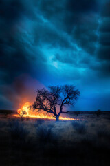Fototapeta na wymiar Generative AI illustration of a wildfire during the evening