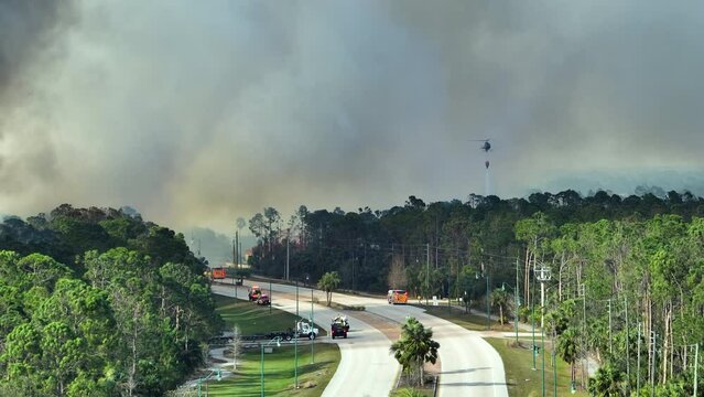 Aerial view of fire department helicopter and firetrucks extinguishing wildfire burning severely in Florida jungle woods. Emergency service chopper and firemen trying to put down flames in forest