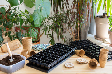 Preparation for spring work in the garden, planting tomato seeds on seedlings at home, wooden table with peat eco friendly pots and plastic containers for seedlings, tomato seeds