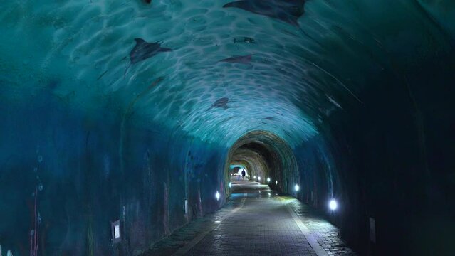 Tunnel of the Watchtower in Laredo in Playa Soledad. Laredo Municipality. Cantabrian Sea. Cantabria. Spain. Europe