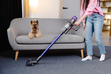 Cute young woman vacuuming at home with a cordless vacuum cleaner while her cute dog watches. - obrazy, fototapety, plakaty