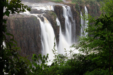 waterfall in the forest