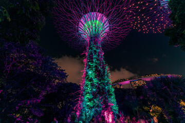 Supertrees Grove at Gardens by the Bay