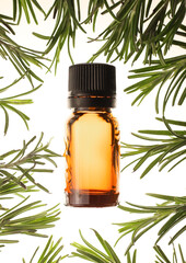 fragrant medicinal evergreen rosemary on a light background with a transparent glass and a jar of hair oil. medical plant rosemary for stress anxiety and more
