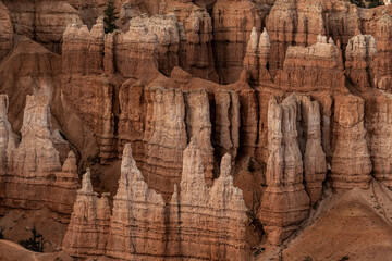 Streaks of Color in Bryce Canyon hoodoos