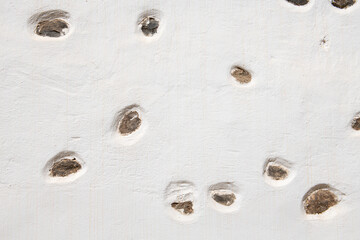 Detalle de muro de piedra