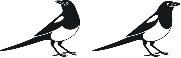 Magpie logo. Isolated magpie on white background