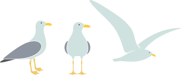 Fotobehang Seagull logo. Isolated seagull on white background. Bird © oleg7799