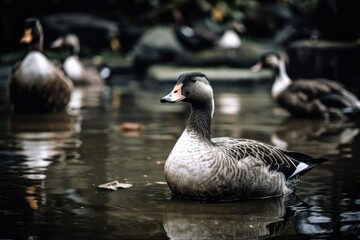 Ducks on the Pond. Generative AI