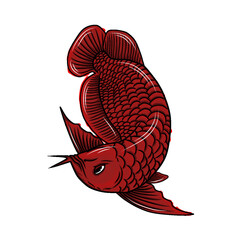 illustration of a fish arowana