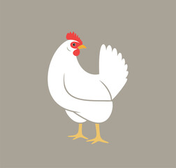 Hen. Nest. Isolated  hen on white background