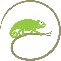 Green chameleon logo. Abstract chameleon on white background
