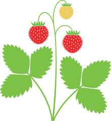 Wild strawberry logo. Isolated strawberry on white background