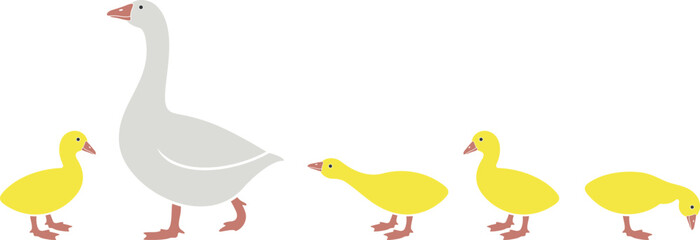 Obraz premium Gosling logo. Isolated gosling on white background. Bird