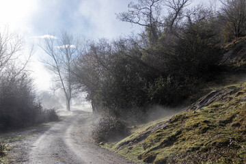 Obraz na płótnie Canvas Mystical Mountain Road: A Surreal Journey through the Fog