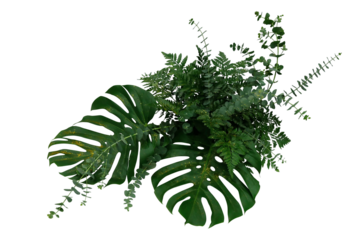Tropical green leaves foliage plants bush, Monstera, fern and Eucalyptus leaves with gold glitter particles floral arrangement bunch for wedding and ceremony decoration