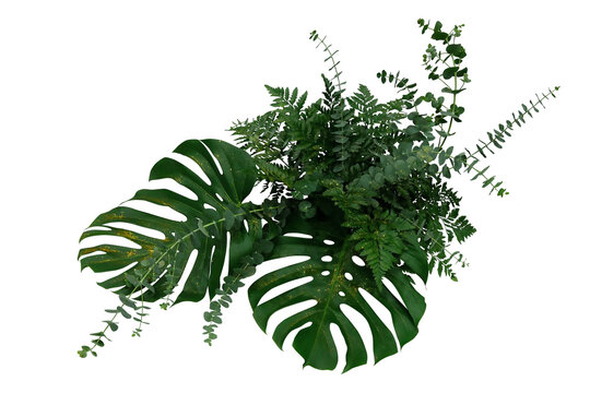 Tropical green leaves foliage plants bush, Monstera, fern and Eucalyptus leaves with gold glitter particles floral arrangement bunch for wedding and ceremony decoration
