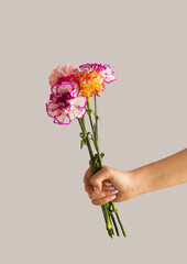 Woman's hand holding bouquet of blooming spring flowers against grey background. Minimal nature concept. Mother's day card.