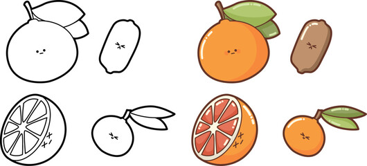 "Set of happy, cute and funny vegetables" (orange, tangerine, kiwi, grapefruit  ) Outlines-contours - design for logo,  stickers, icon, illustration for coloring books, kawaii fruits collection