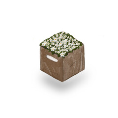 watercolor flower box
