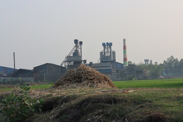 A rice field with a factory in the background , Rice planting with paddy factory