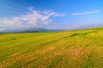 Fototapeta premium picturesque meadow, in the distance you can see the peaks of the Tatra Mountains