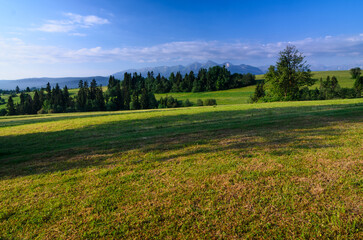 picturesque meadow, in the distance you can see the peaks of the Tatra Mountains