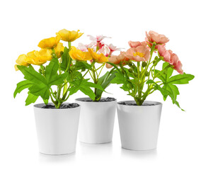Artificial flowers on white background