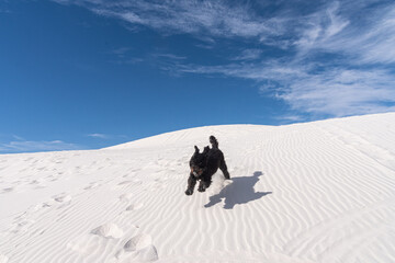 Black dog in White Sand