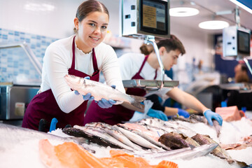 Woman seller of fresh fish advises buyer to buy hake fresh fish