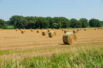 Hay Bales In A Farm Field In August In Wisconsin
