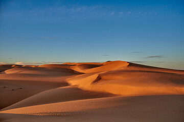 Plakat sand dunes in the desert