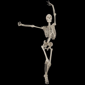 skeleton posing 3d render illustration with black 
background