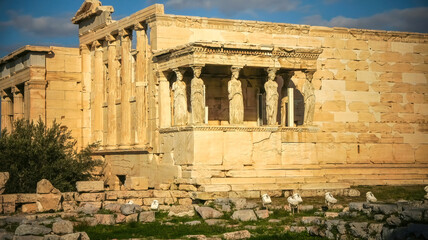 Obraz premium Caryatid draped female figure used instead of a column as a support ancient Acropolis Athens Greece