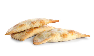 Tasty meat empanadas isolated on white background