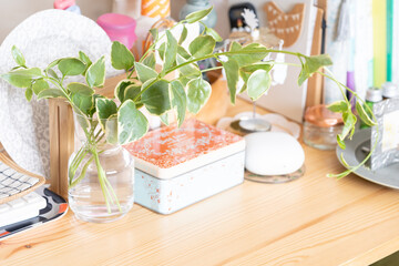 庭で採れた葉と北欧のインテリア