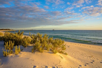 beach in the morning