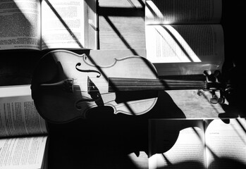 perspective of books and violin