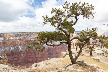 Views from the South Rim of the snowy Grand Canyon National Park, Arizona, USA